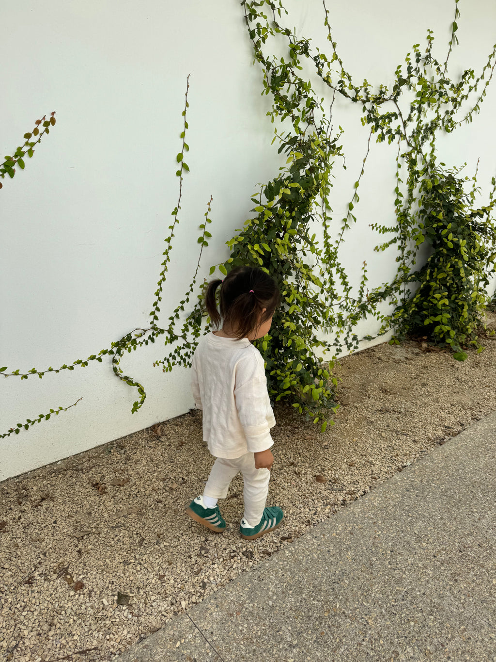 BÉBÉ LOLITA POINTELLE SET (SHEEP)