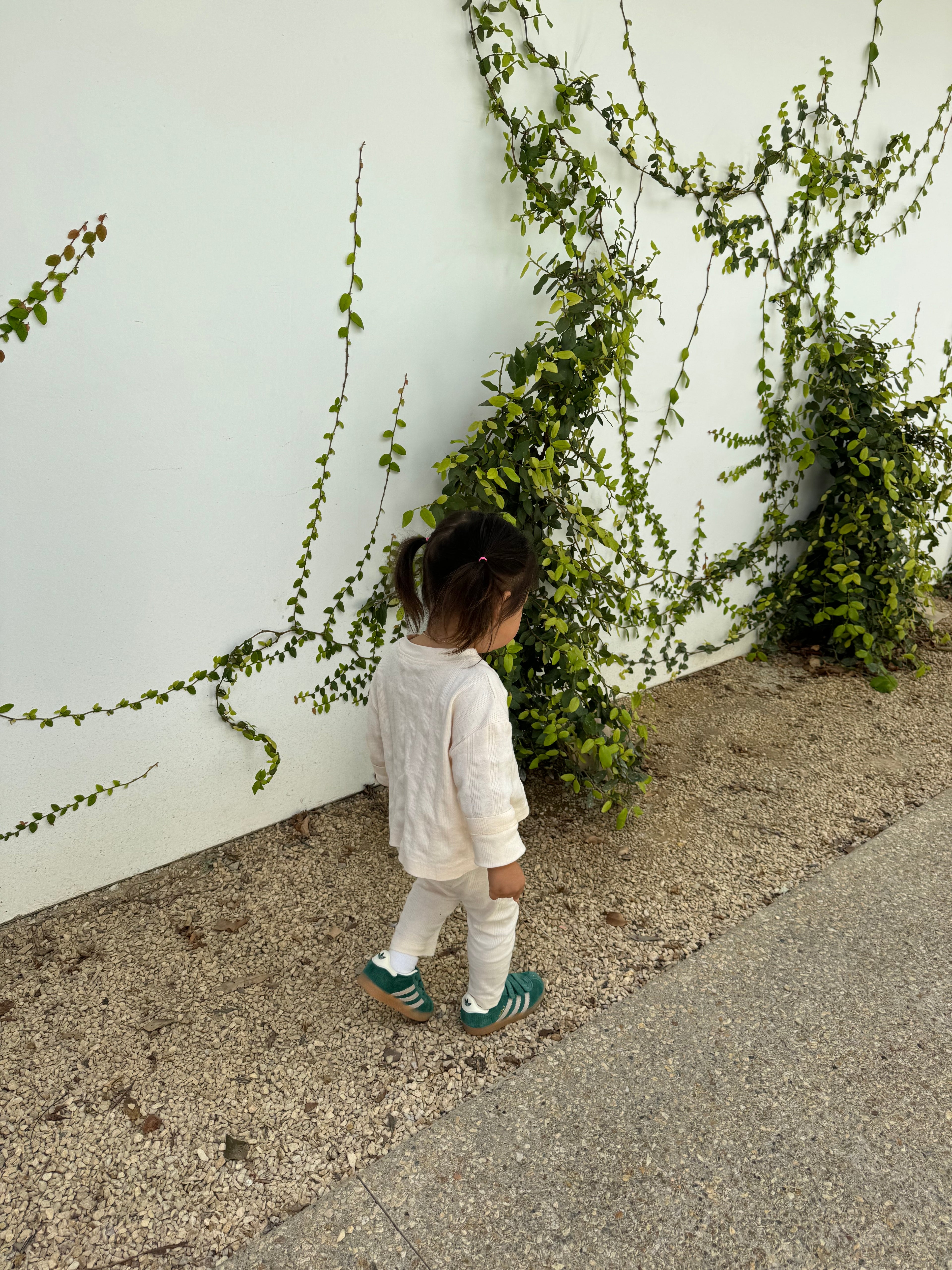 BÉBÉ LOLITA POINTELLE SET (SHEEP)