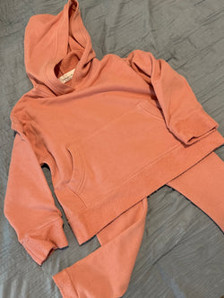 TODDLER WALKER HOODIE FRENCH TERRY SET (DUSTY ROSE)